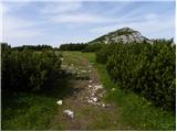 Alpengasthof Siebenhütten - Petzen (Kordeschkopf) (Peca (Kordeževa glava))